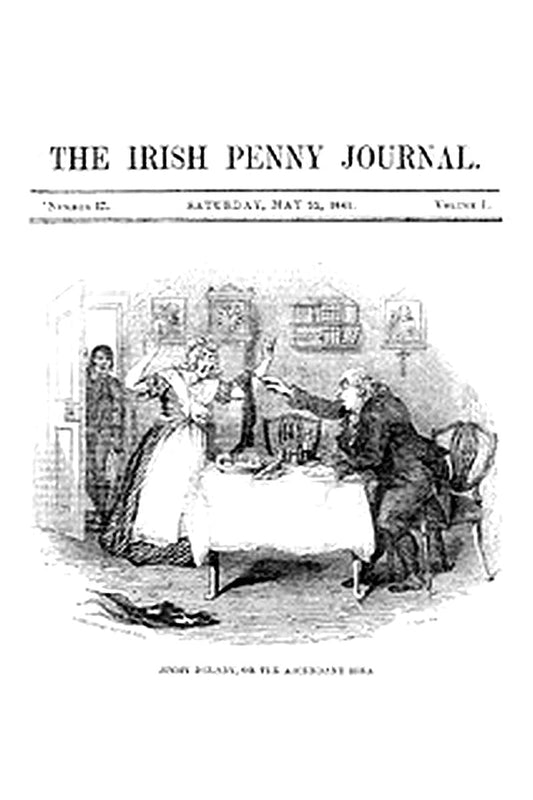 The Irish Penny Journal, Vol. 1 No. 47, May 22, 1841