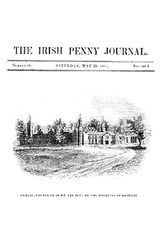 The Irish Penny Journal, Vol. 1 No. 48, May 29, 1841