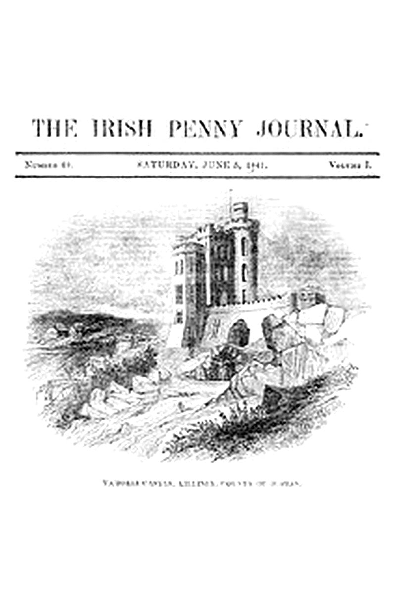 The Irish Penny Journal, Vol. 1 No. 49, June 5, 1841