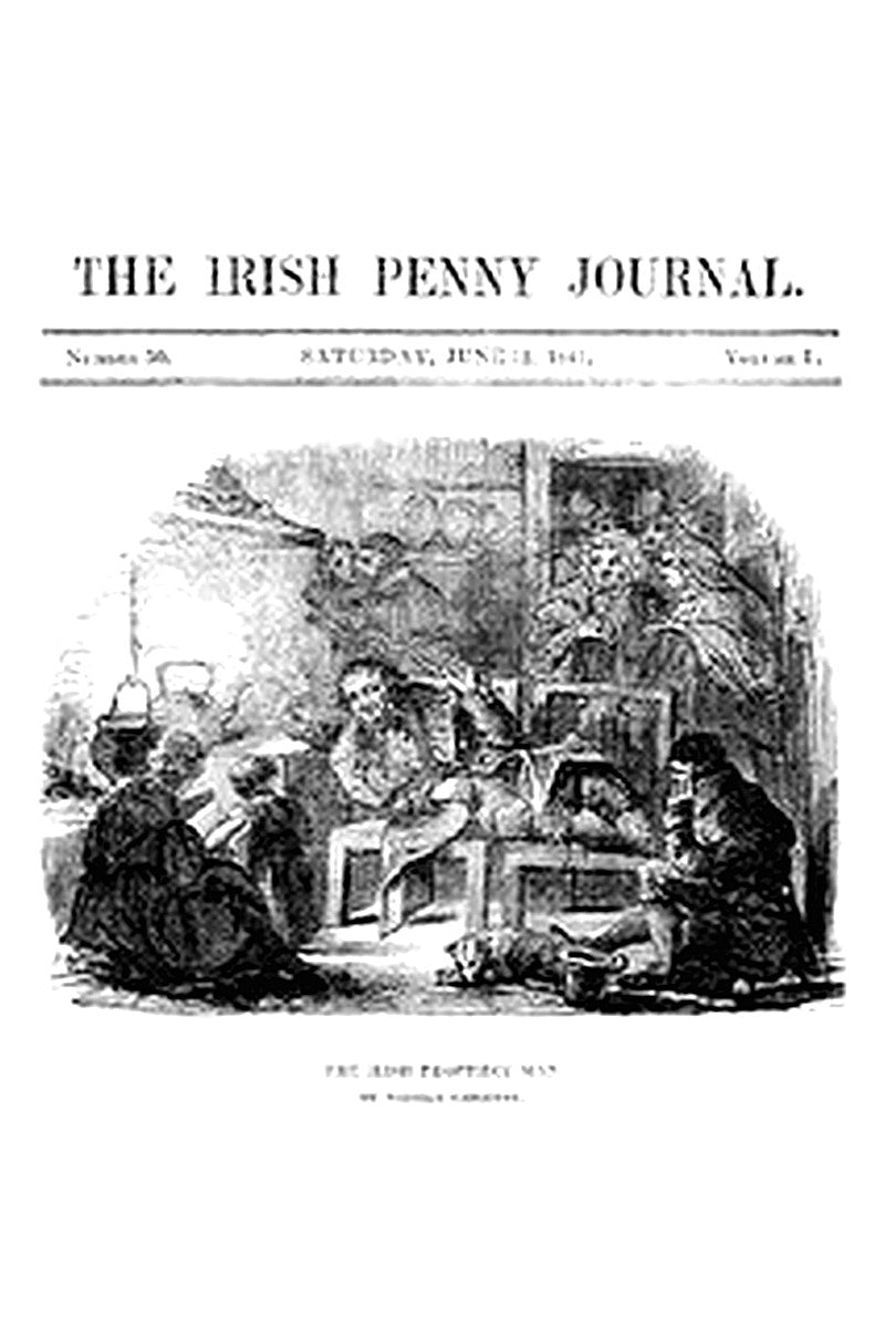 The Irish Penny Journal, Vol. 1 No. 50, June 12, 1841