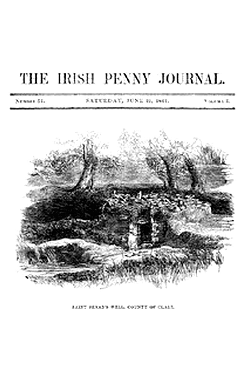 The Irish Penny Journal, Vol. 1 No. 51, June 19, 1841