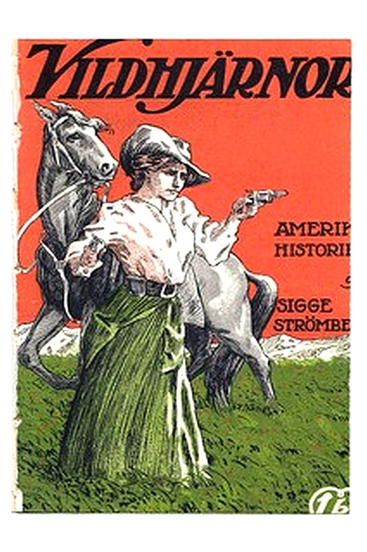 Vildhjärnor: Amerikahistorier