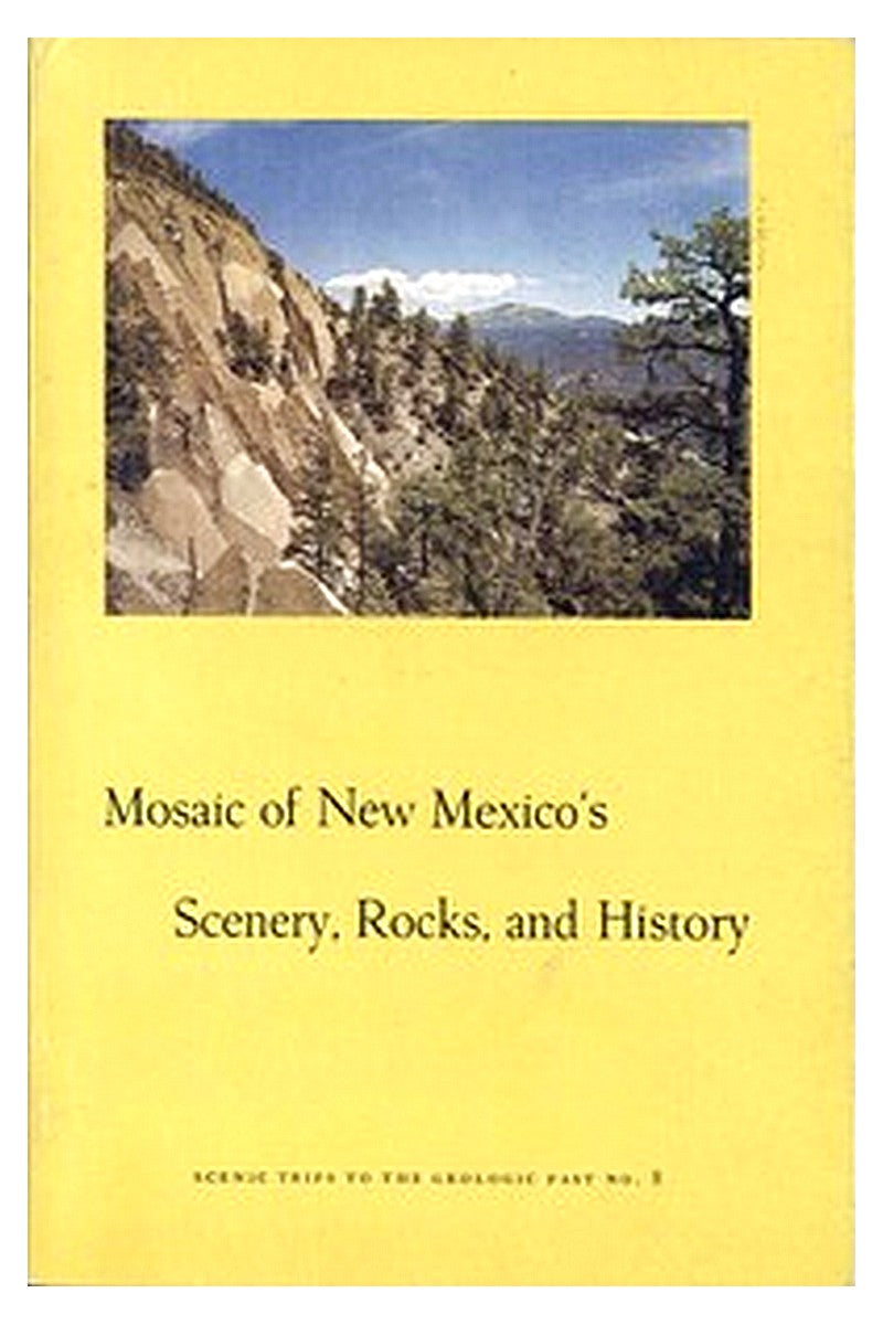 Mosaic of New Mexico's Scenery, Rocks, and History