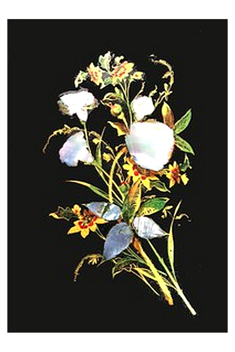 The Iris: An Illuminated Souvenir for 1852