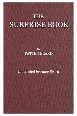 The Surprise Book