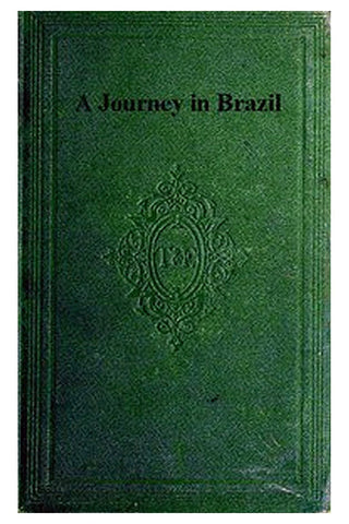 A Journey in Brazil