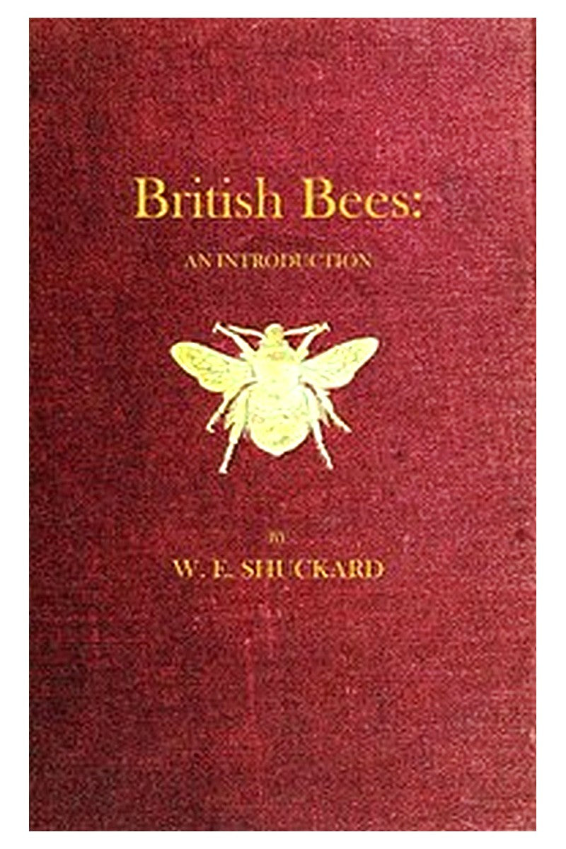 British Bees
