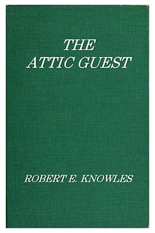 The Attic Guest: A Novel