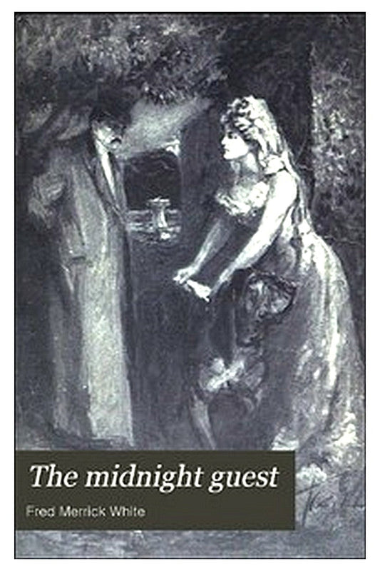 The Midnight Guest: A Detective Story