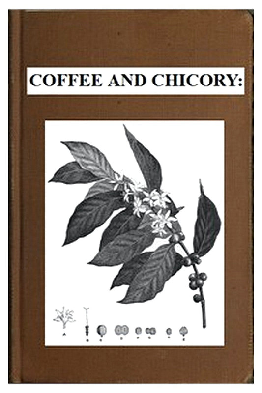 Coffee and Chicory:
