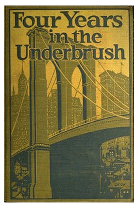 4 Years in the Underbrush: Adventures as a Working Woman in New York