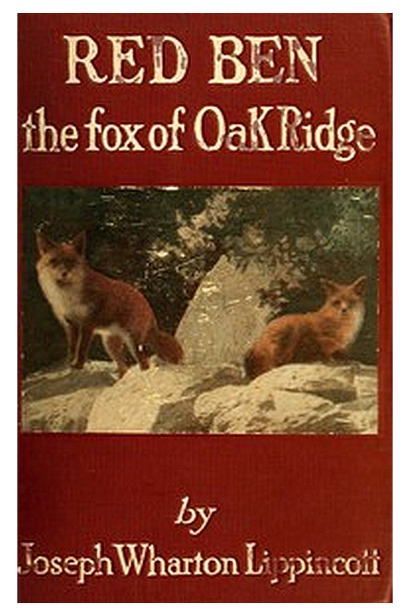 Red Ben, the Fox of Oak Ridge