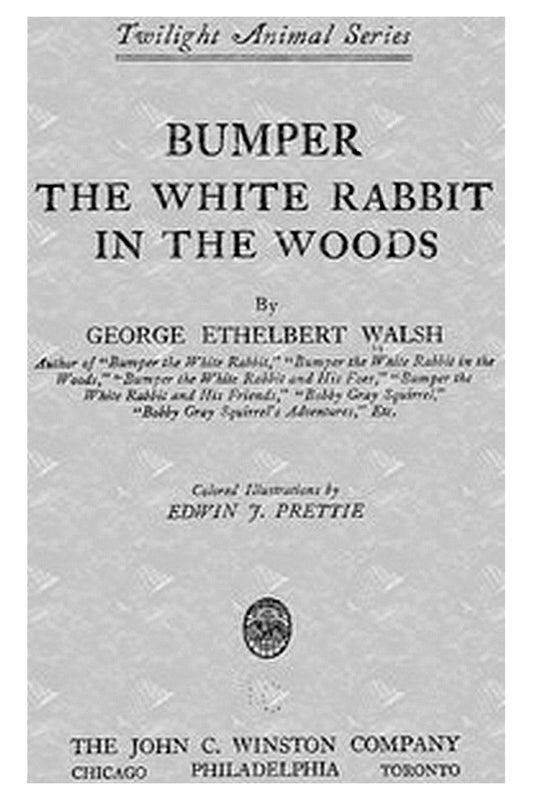Bumper the White Rabbit in the Woods