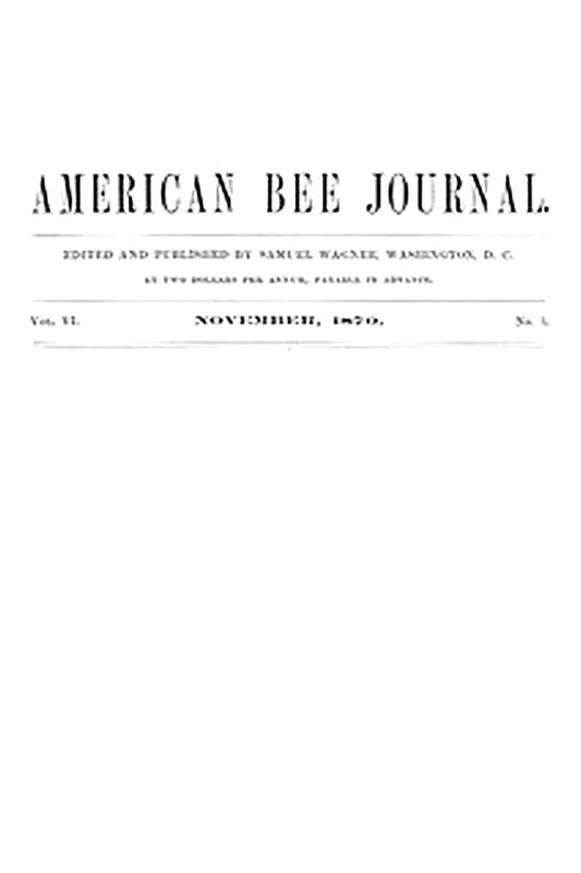 The American Bee Journal, Vol. VI., Number 5, November 1870