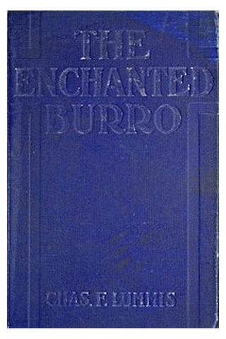 The Enchanted Burro