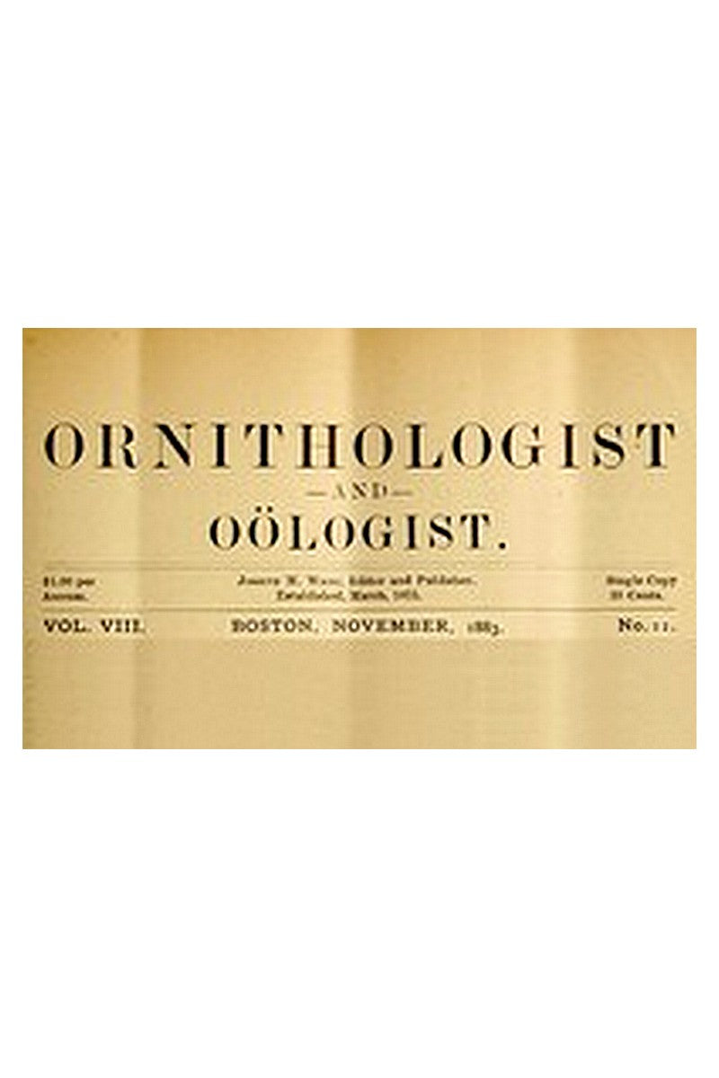 The Ornithologist and Oölogist. Vol. VIII, No. 11, November, 1883