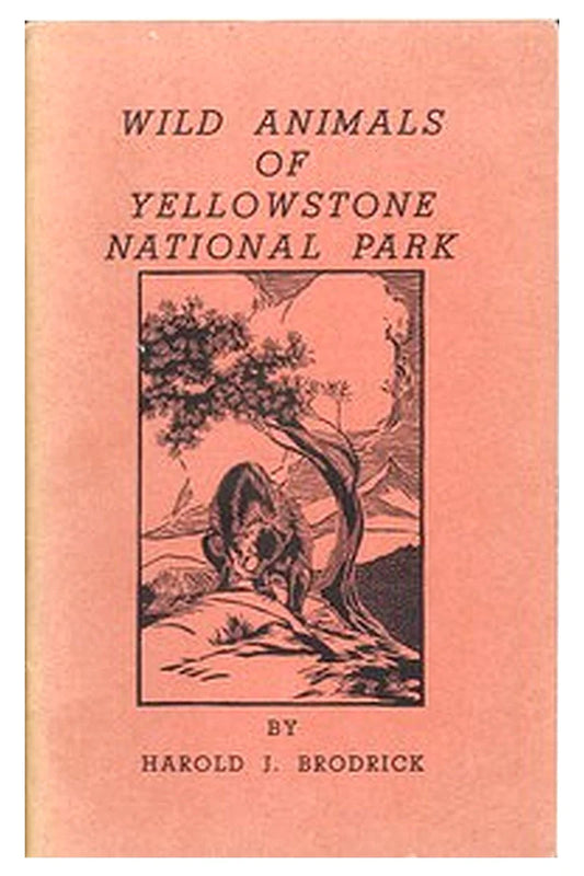 Yellowstone Interpretive Series Number 1