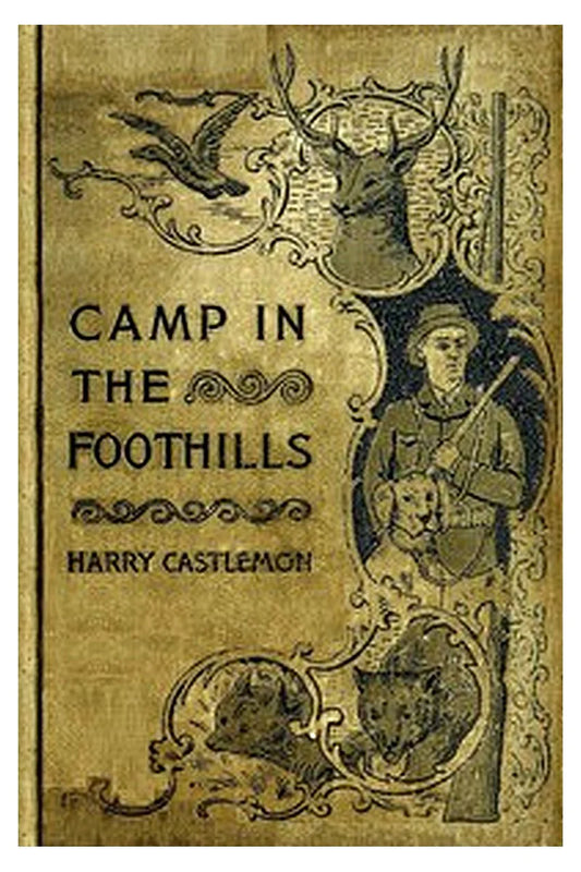The Camp in the Foot-Hills or, Oscar on Horseback