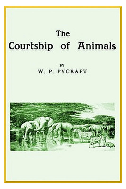 The Courtship of Animals