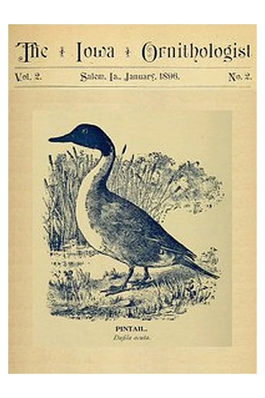 The Iowa Ornithologist, Volume 2, No. 2, January 1896