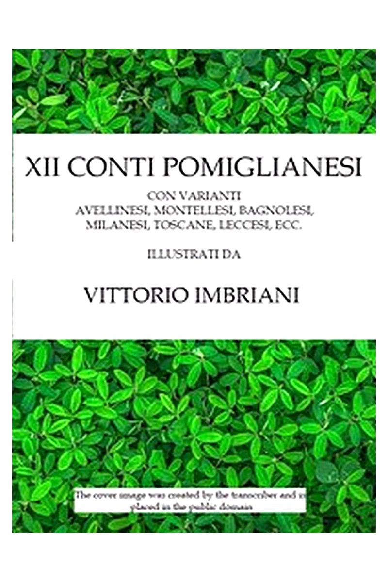 XII conti pomiglianesi