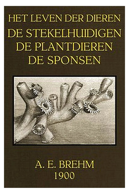 Het Leven der Dieren: Deel 3.8, De Stekelhuidigen, Plantdieren en Sponsen