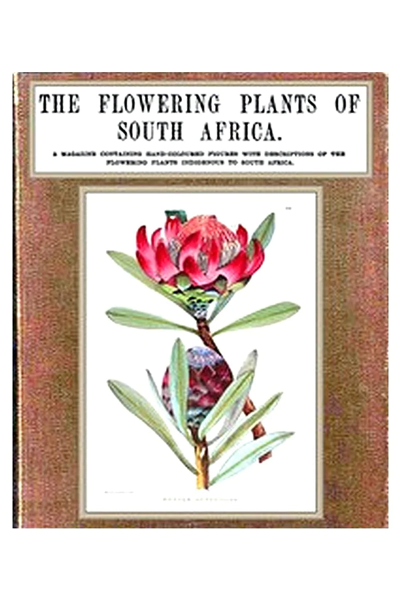 The Flowering Plants of South Africa vol. 1