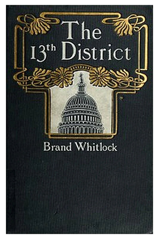 The Thirteenth District: A Story of a Candidate