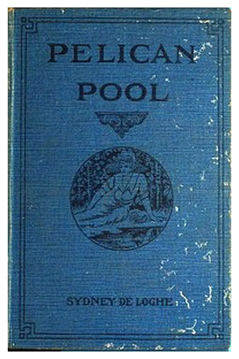 Pelican Pool: A Novel