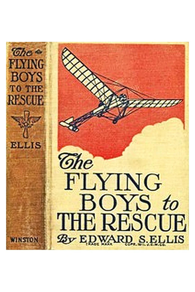 Flying boys series