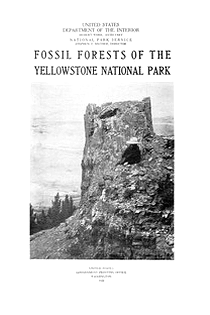 Fossil Forests of the Yellowstone National Park