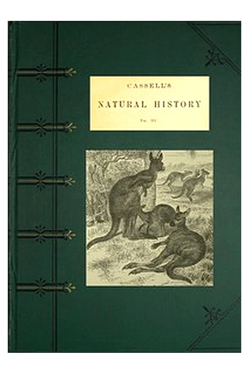 Cassell's Natural History, Vol. 3 (of 6)