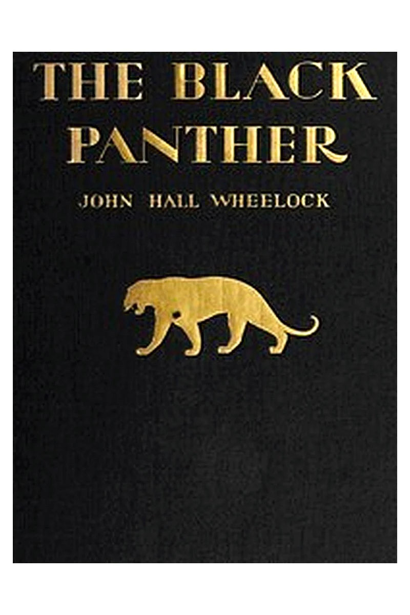 The Black Panther: A book of poems