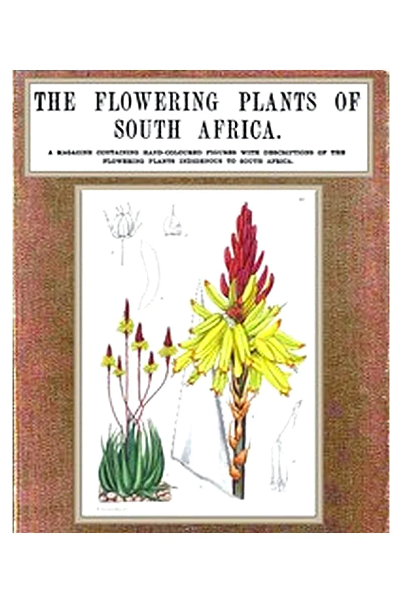 The Flowering Plants of South Africa vol. 2