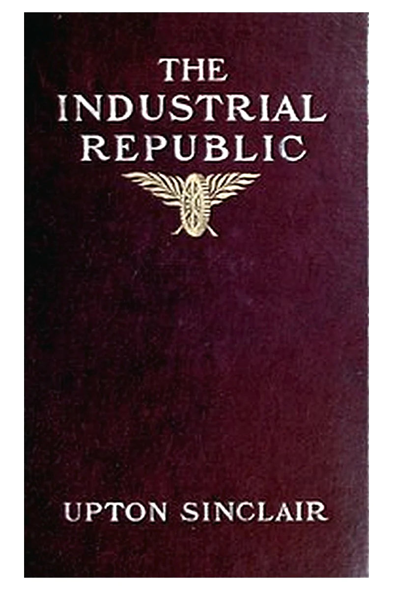 The industrial republic: a study of the America of ten years hence