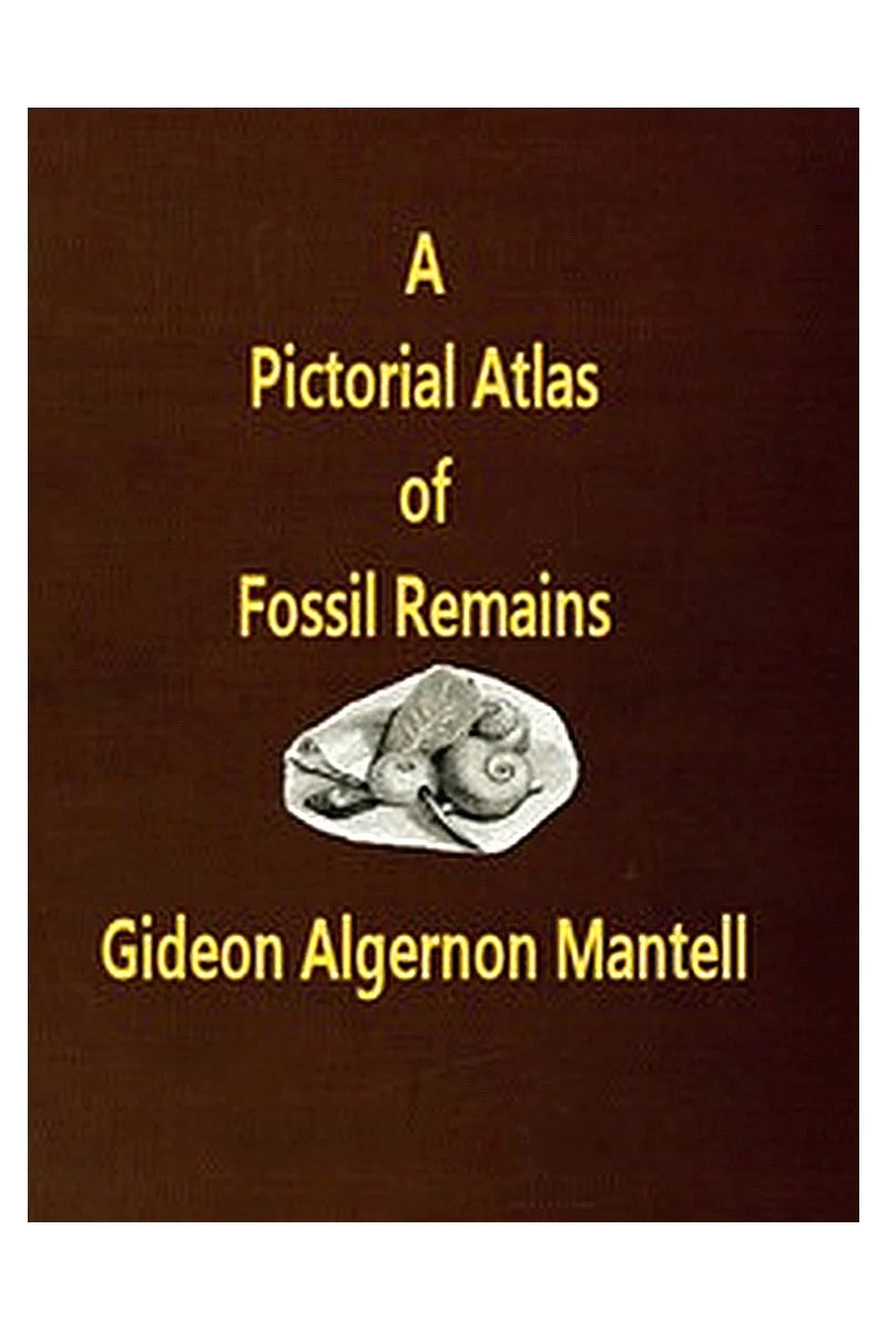 A Pictorial Atlas of Fossil Remains, consisting of coloured illustrations selected from Parkinson's "Organic remains of a former world," and Artis's "Antediluvian phytology."