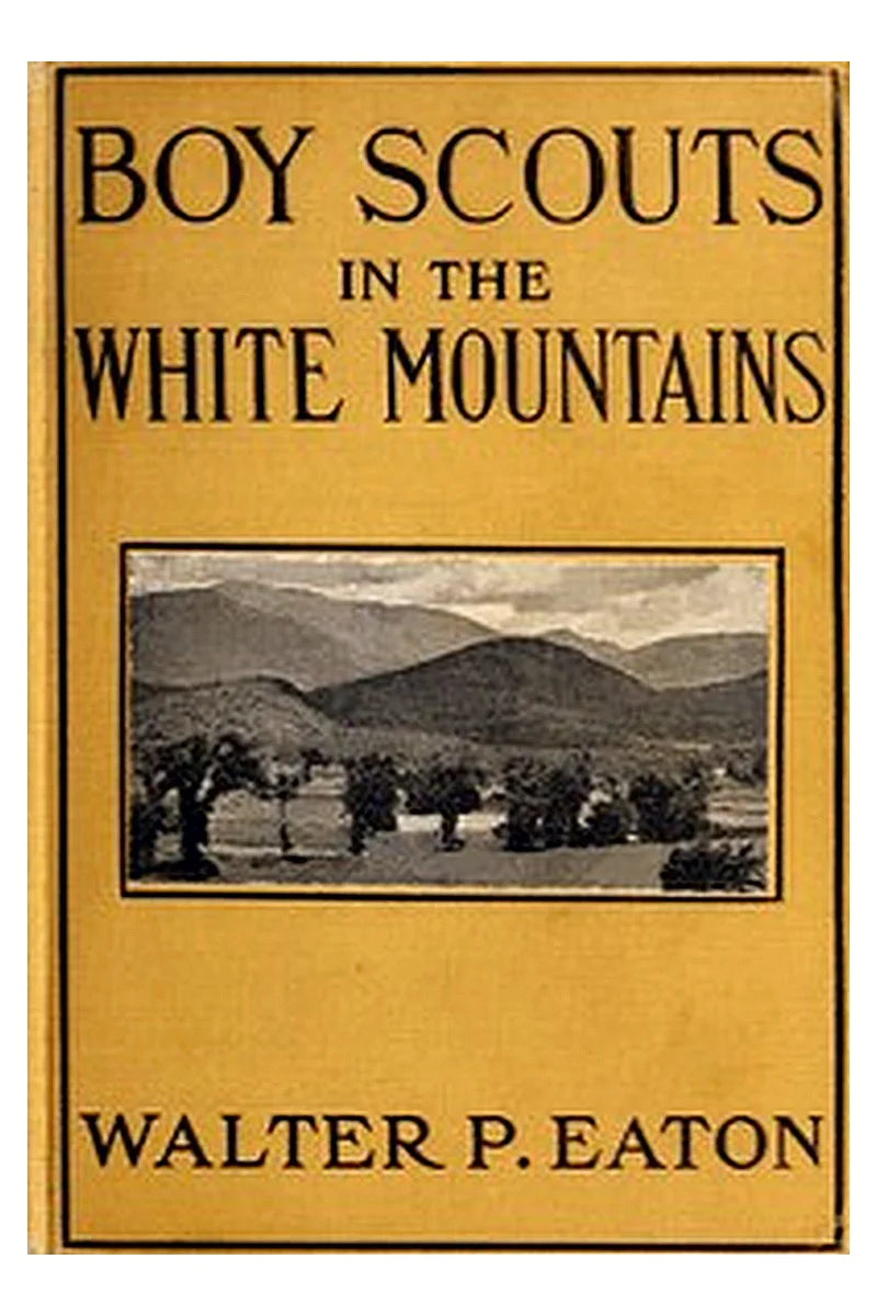 Boy Scouts in the White Mountains: The Story of a Long Hike