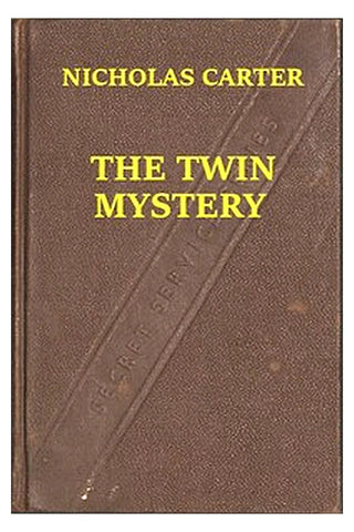 The Twin Mystery Or, A Dashing Rescue