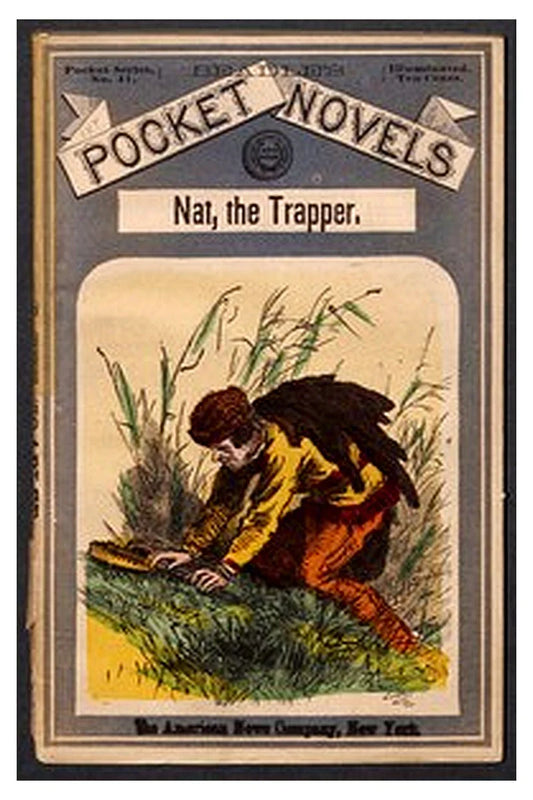 Beadle's Pocket Novels No. 41