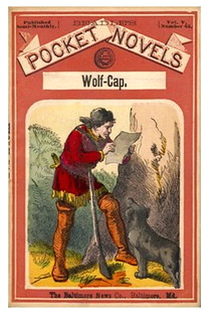 Beadle's Pocket Novels No. 65
