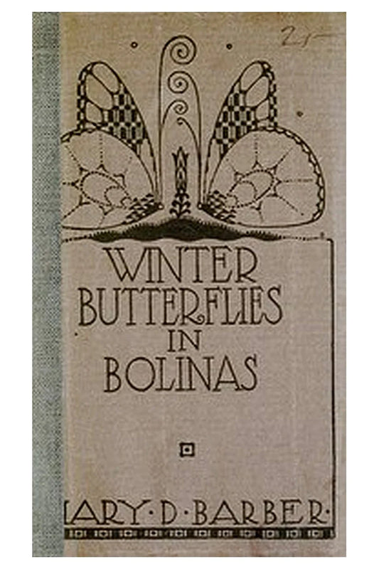 Winter Butterflies in Bolinas