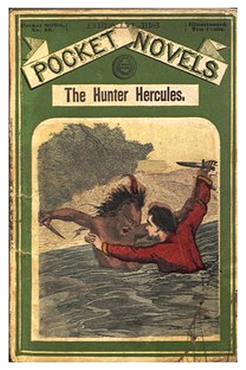 Beadle's Pocket Novels No. 86