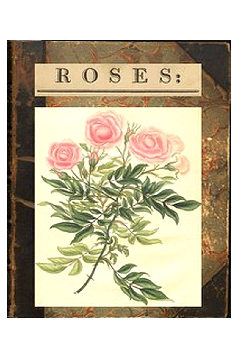 Roses: or, a Monograph of the Genus Rosa