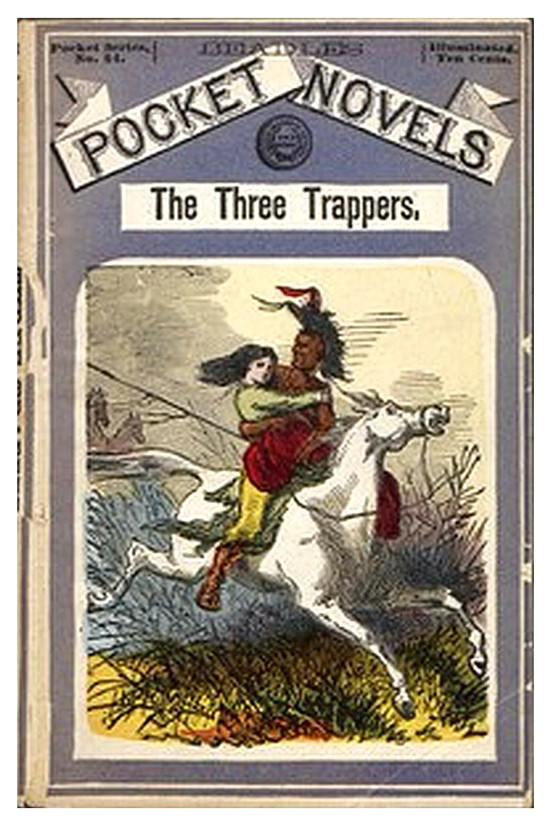 Beadle's Pocket Novels No. 84