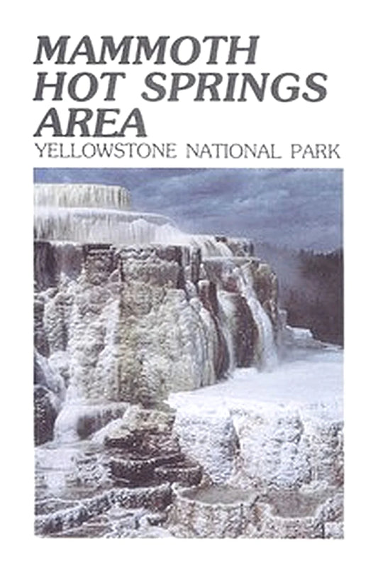 Mammoth Hot Springs Area: Yellowstone National Park
