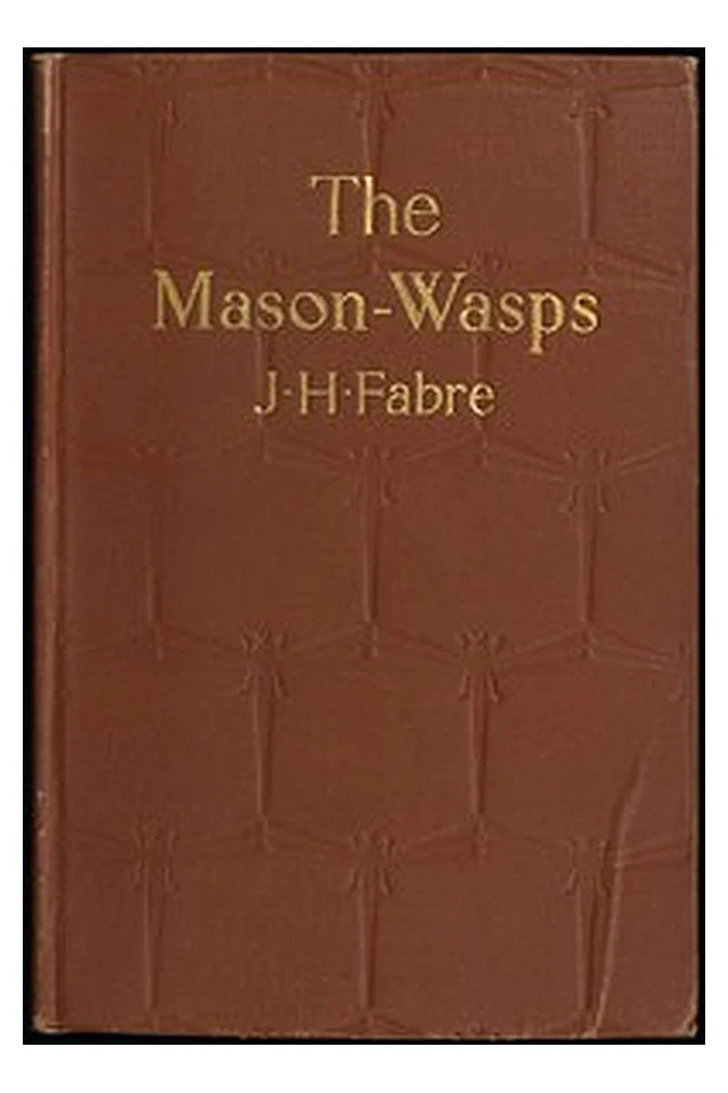 The Mason-Wasps