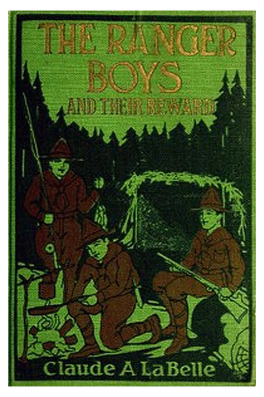 The Ranger Boys Series, number 5