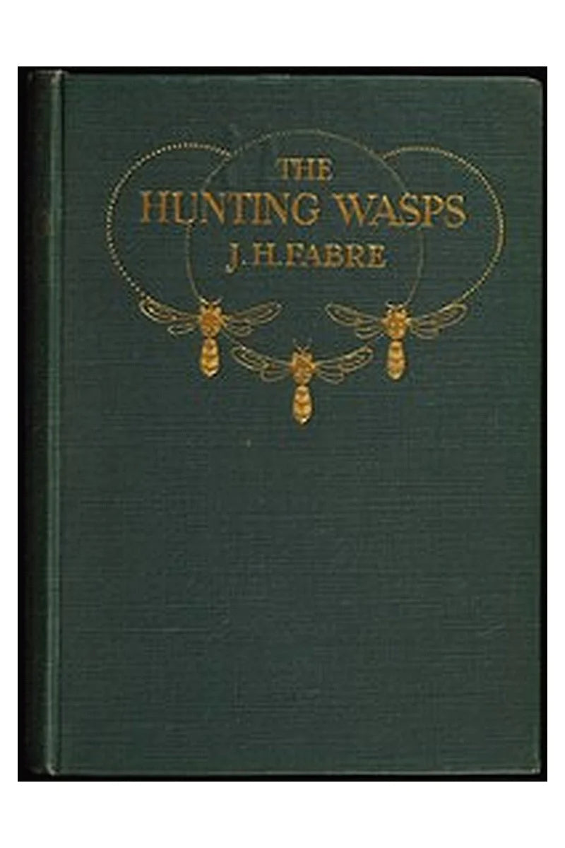 The Hunting Wasps