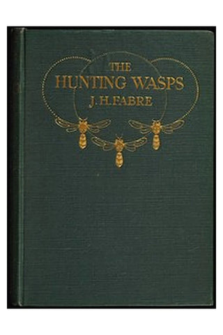 The Hunting Wasps