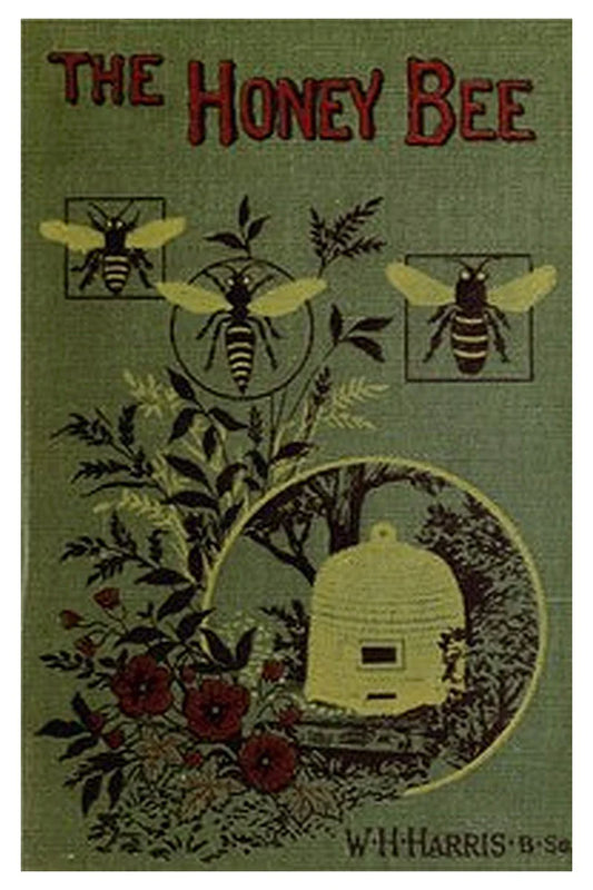 The honey-bee: its nature, homes and products